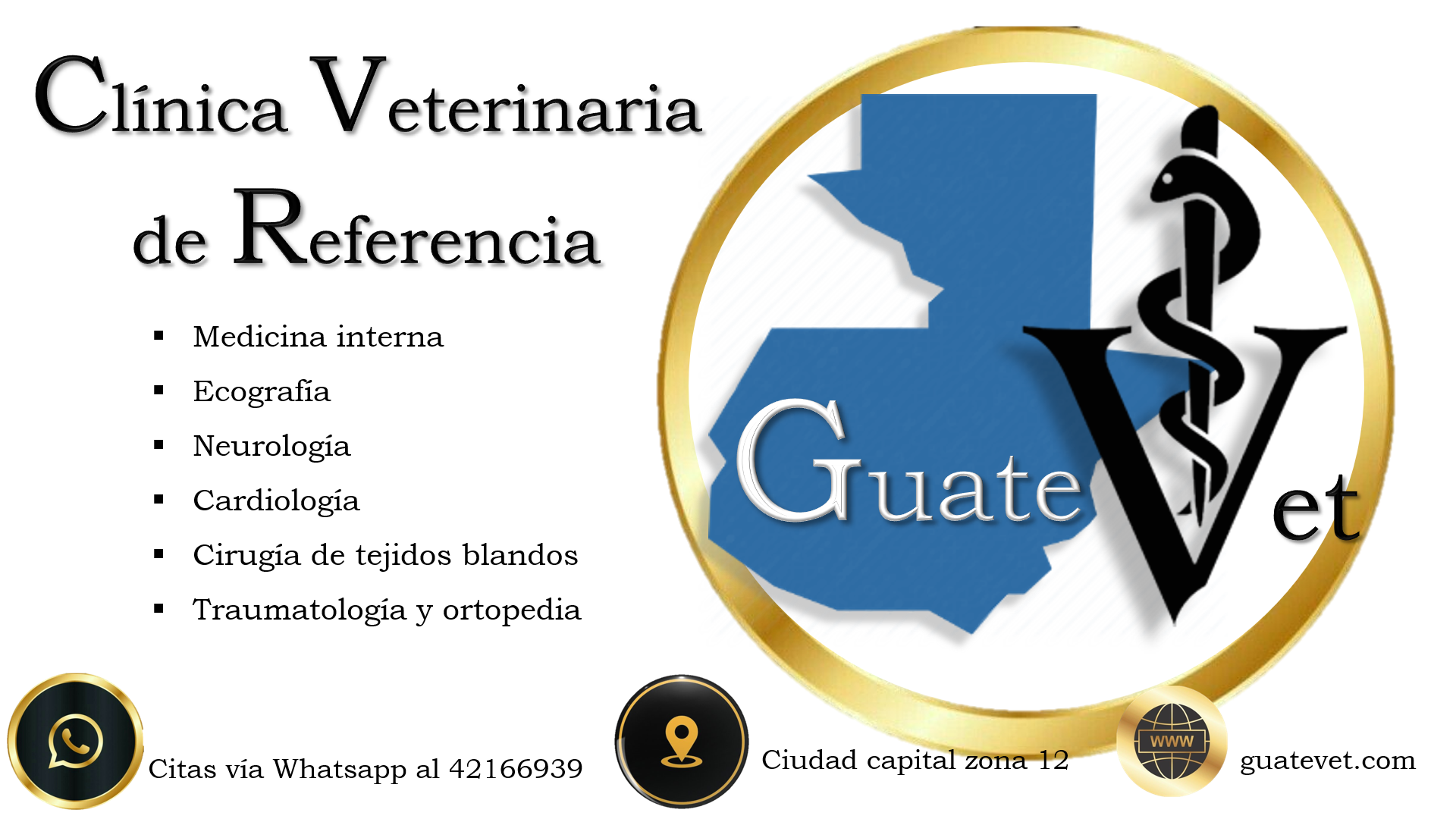 Medicina y cirugía veterinaria de referencia